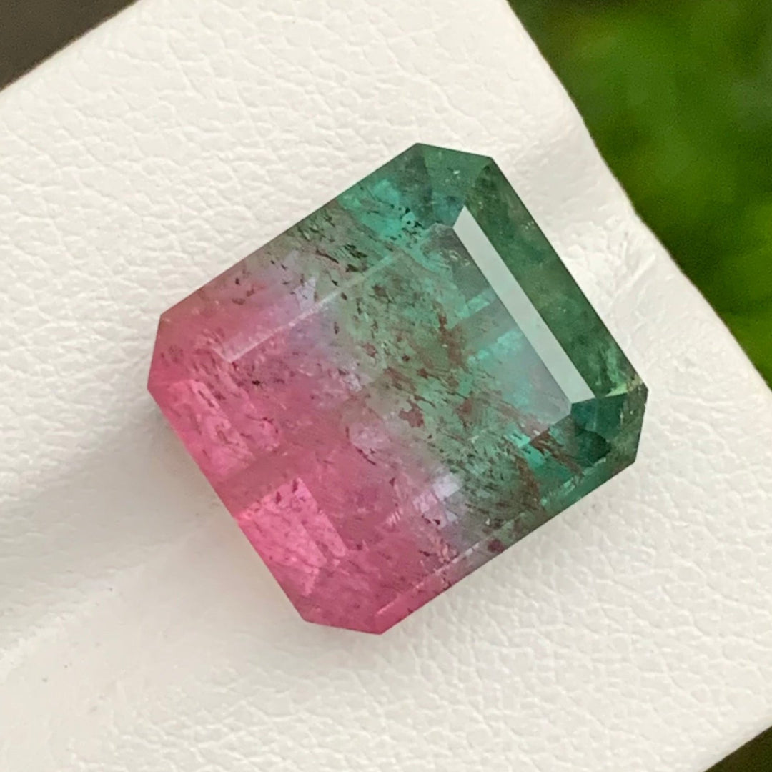 bicolor tourmaline