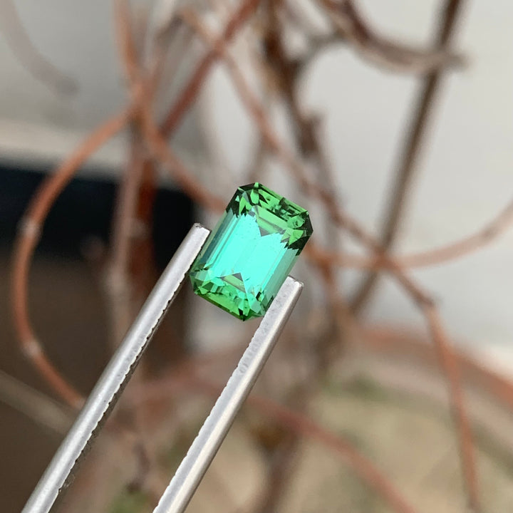 2.25 Carats Magnificent Emerald Shape Faceted Green Tourmaline