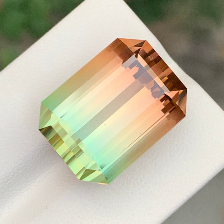 bicolor tourmaline