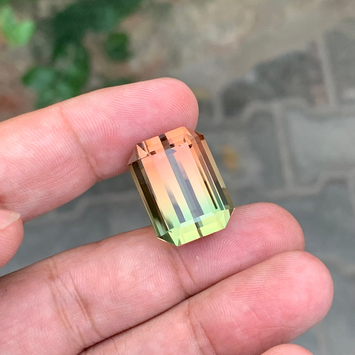 38.75 Carats Loose Bicolor Tourmaline Emerald Shape