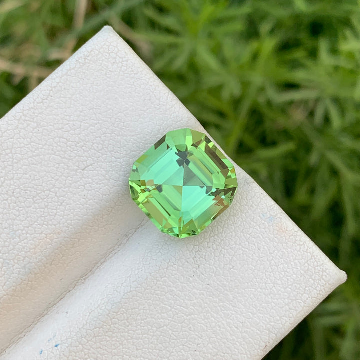 6.75 Carats Exquisite Loose Cushion Shape Mint Green Tourmaline Gemstone