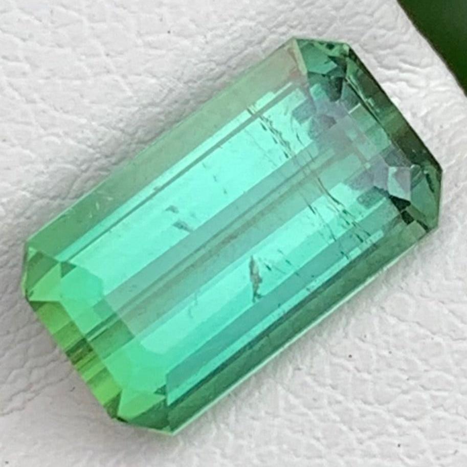 faceted tourmaline