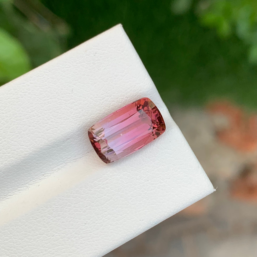 Bicolor Tourmaline