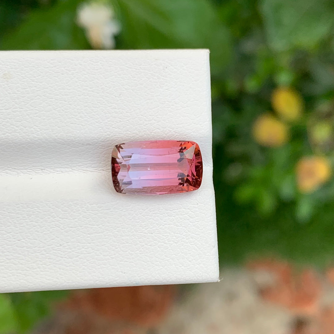 Bicolor Tourmaline