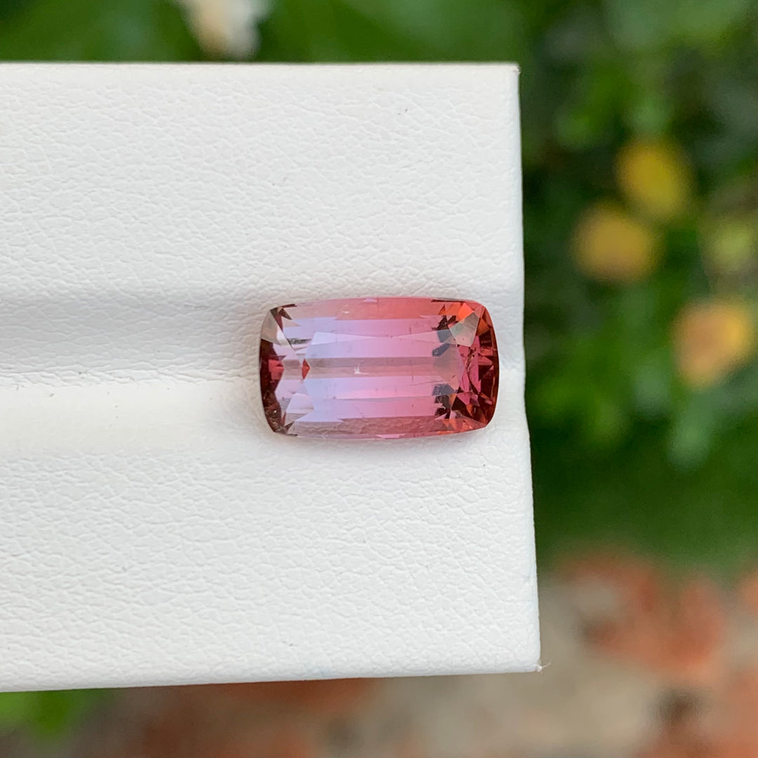 Bicolor Tourmaline