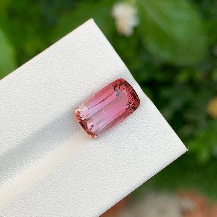 Bicolor Tourmaline