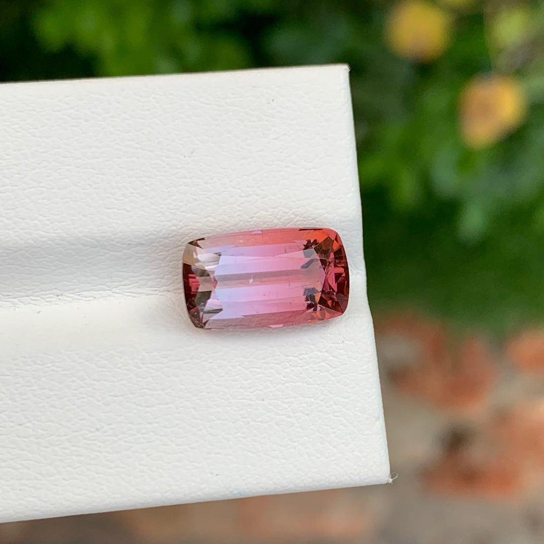 Bicolor Tourmaline