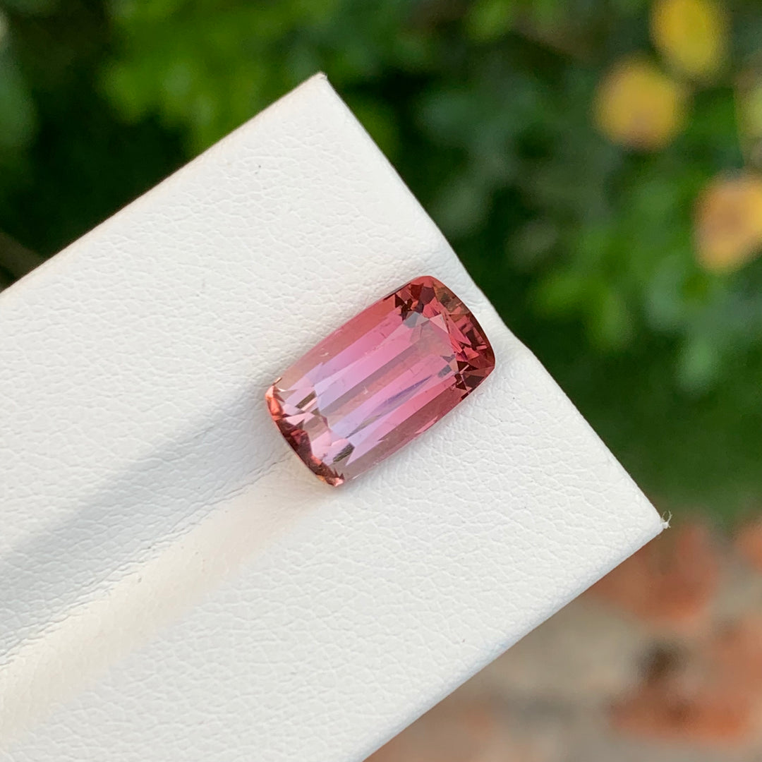 Bicolor Tourmaline