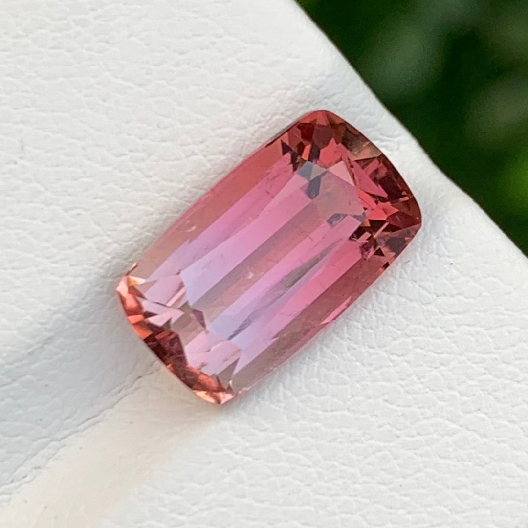 Bicolor Tourmaline