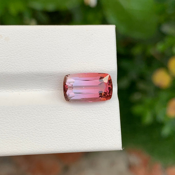 Bicolor Tourmaline