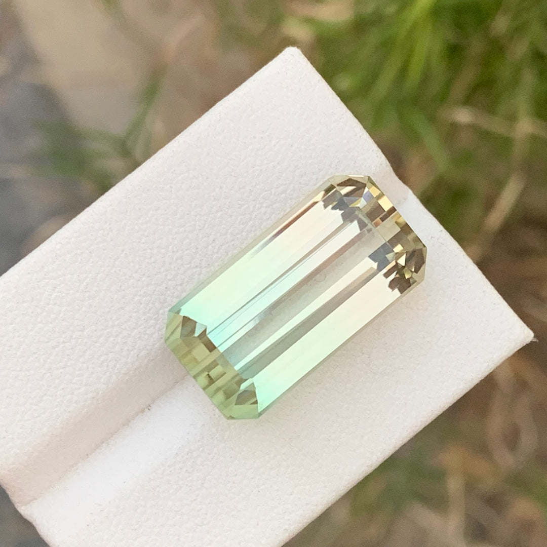 Fabulous 24.40 Carats Faceted Emerald Shape Bi Color Tourmaline