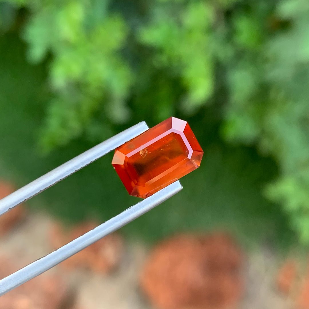 Faceted Hessonite