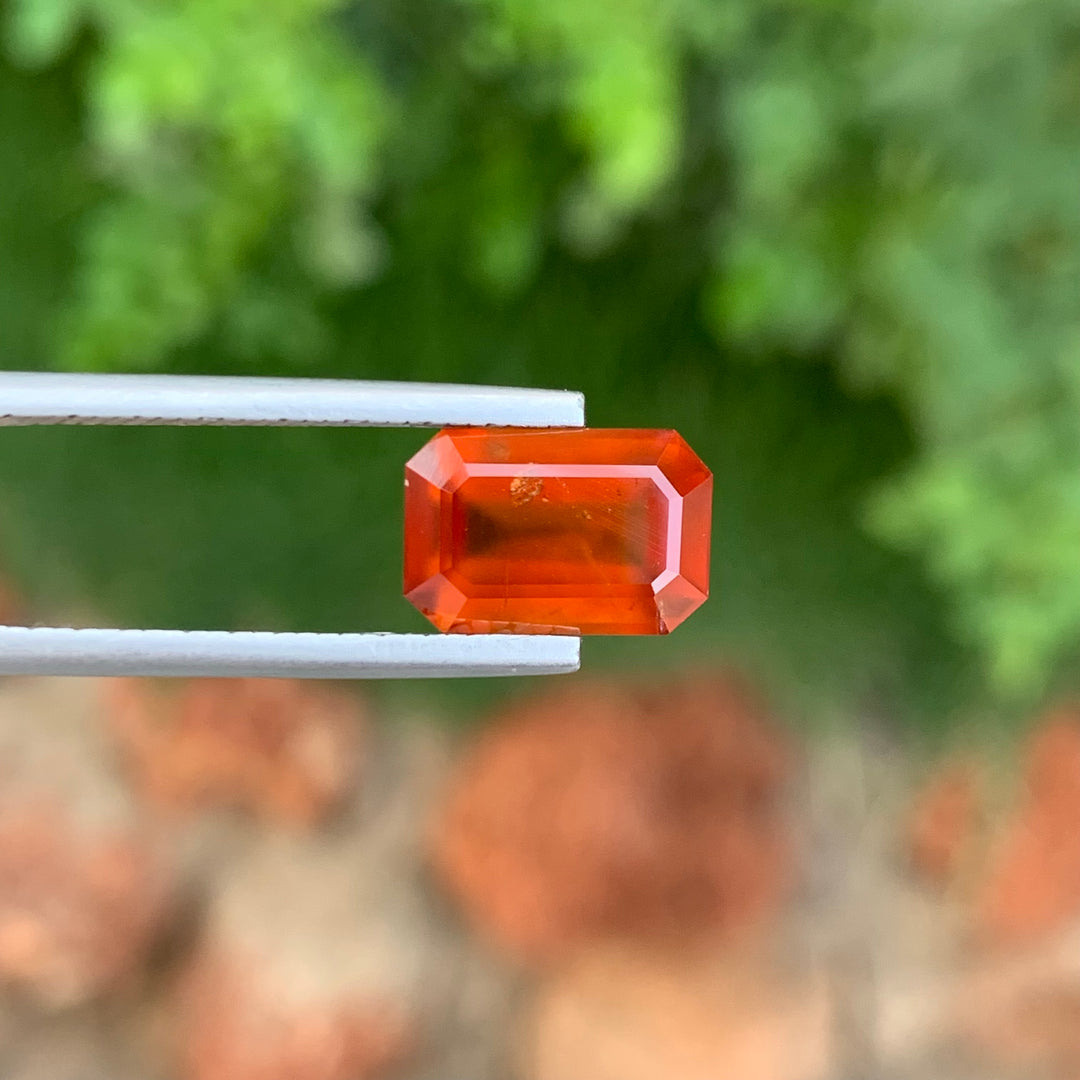 Faceted Hessonite