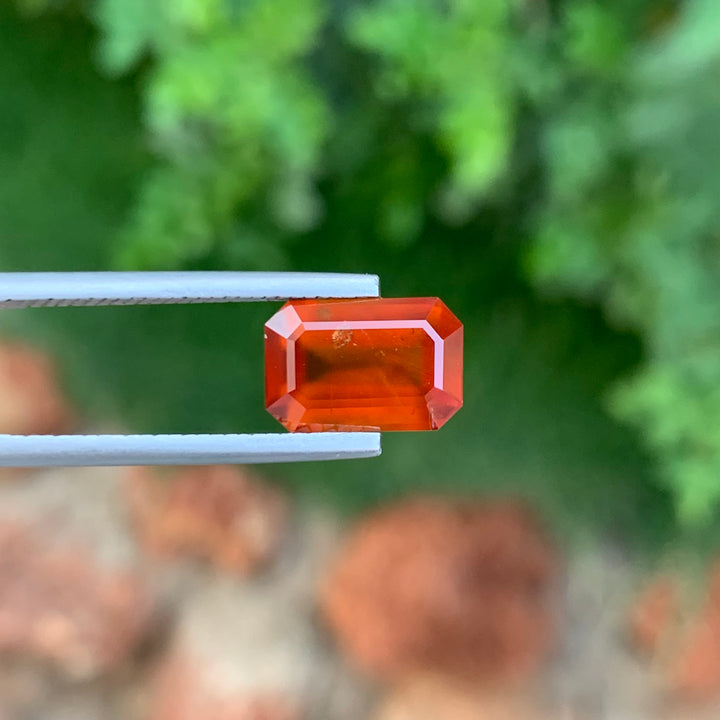 Faceted Hessonite