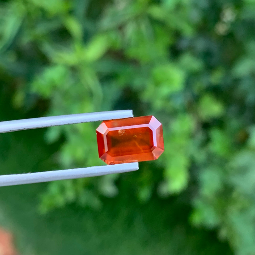 Faceted Hessonite