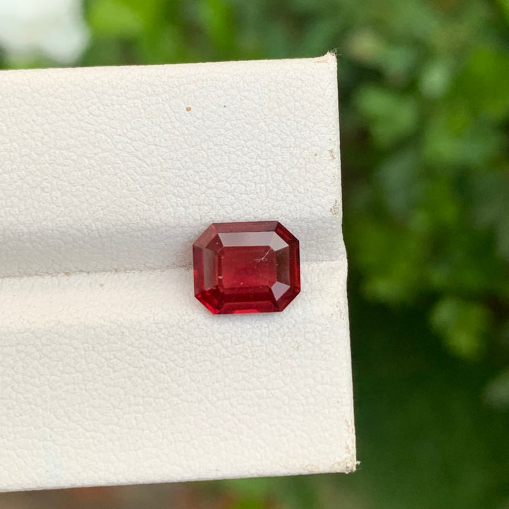 loose garnet