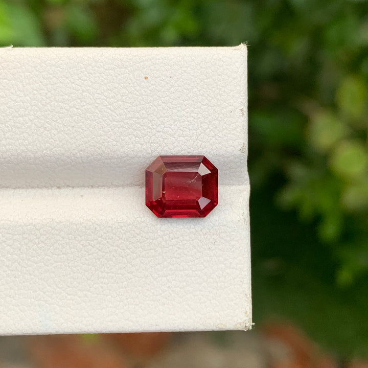 loose garnet