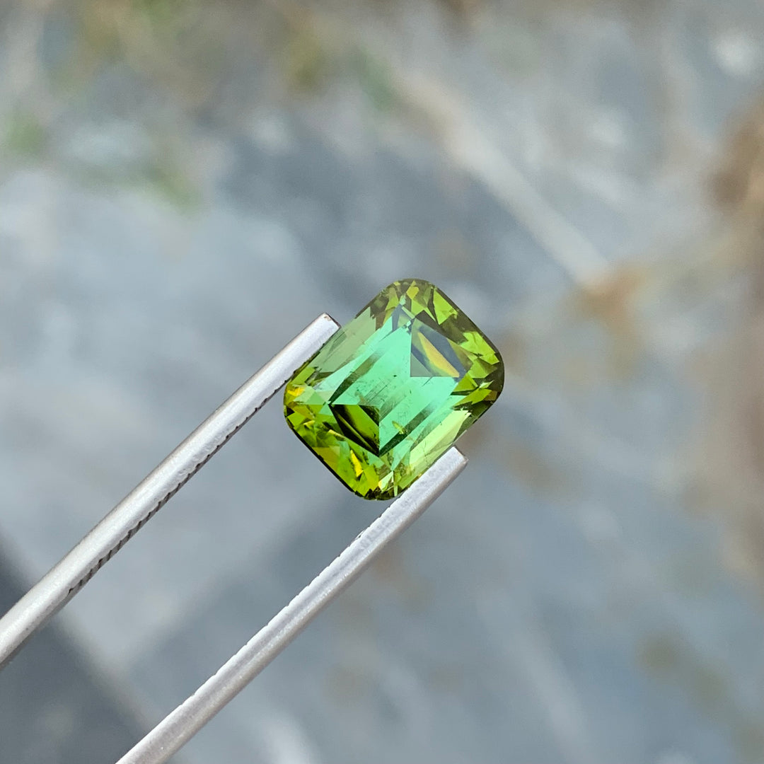 faceted tourmaline