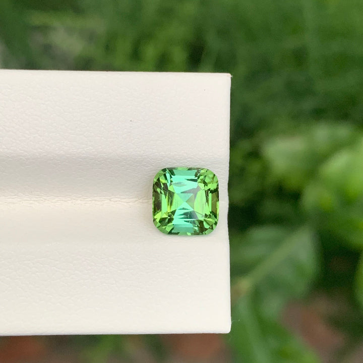 2.30 Carats Natural Loose Mint Green Tourmaline