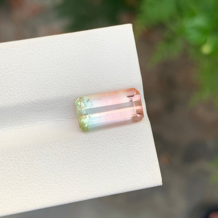 4.55 Carats Bicolor Faceted Tourmaline