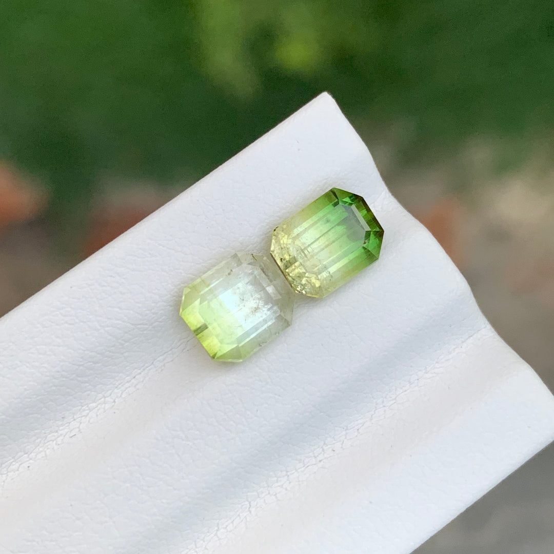 3.85 Carats Bicolor Tourmaline Gemstone Pieces