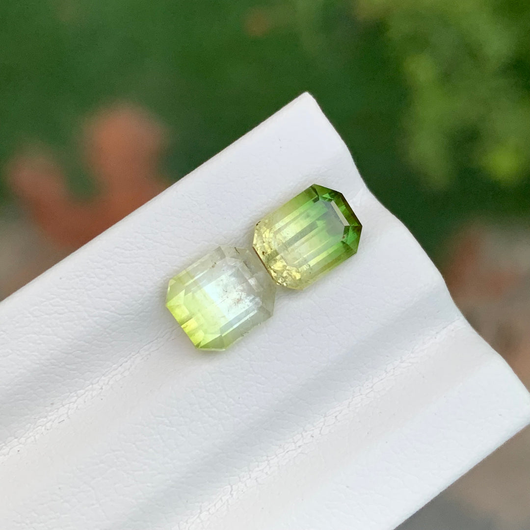 3.85 Carats Bicolor Tourmaline Gemstone Pieces