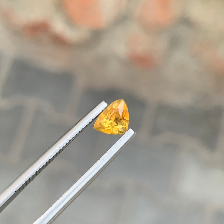 0.90 Carats Faceted Yellow Titanite Trillion Shape