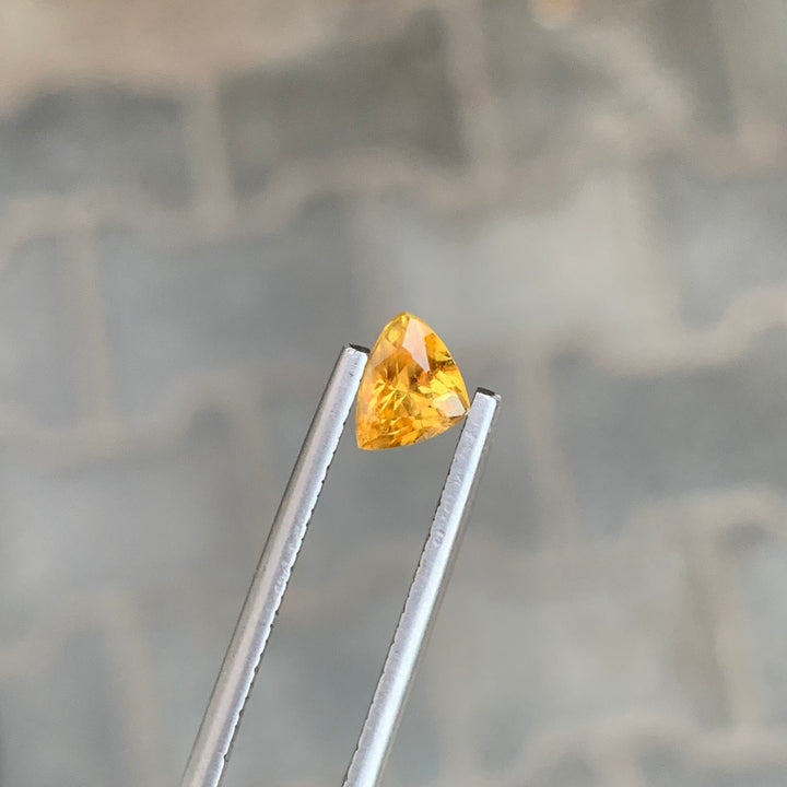 0.90 Carats Faceted Yellow Titanite Trillion Shape