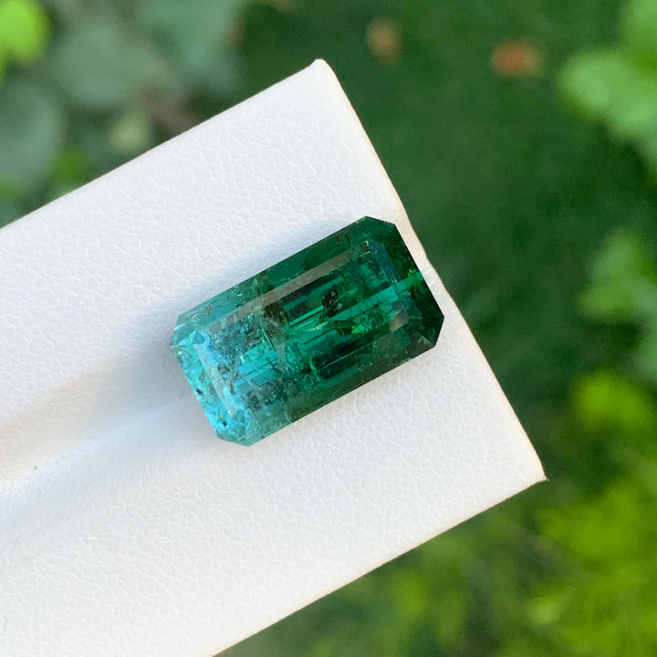 bicolor tourmaline