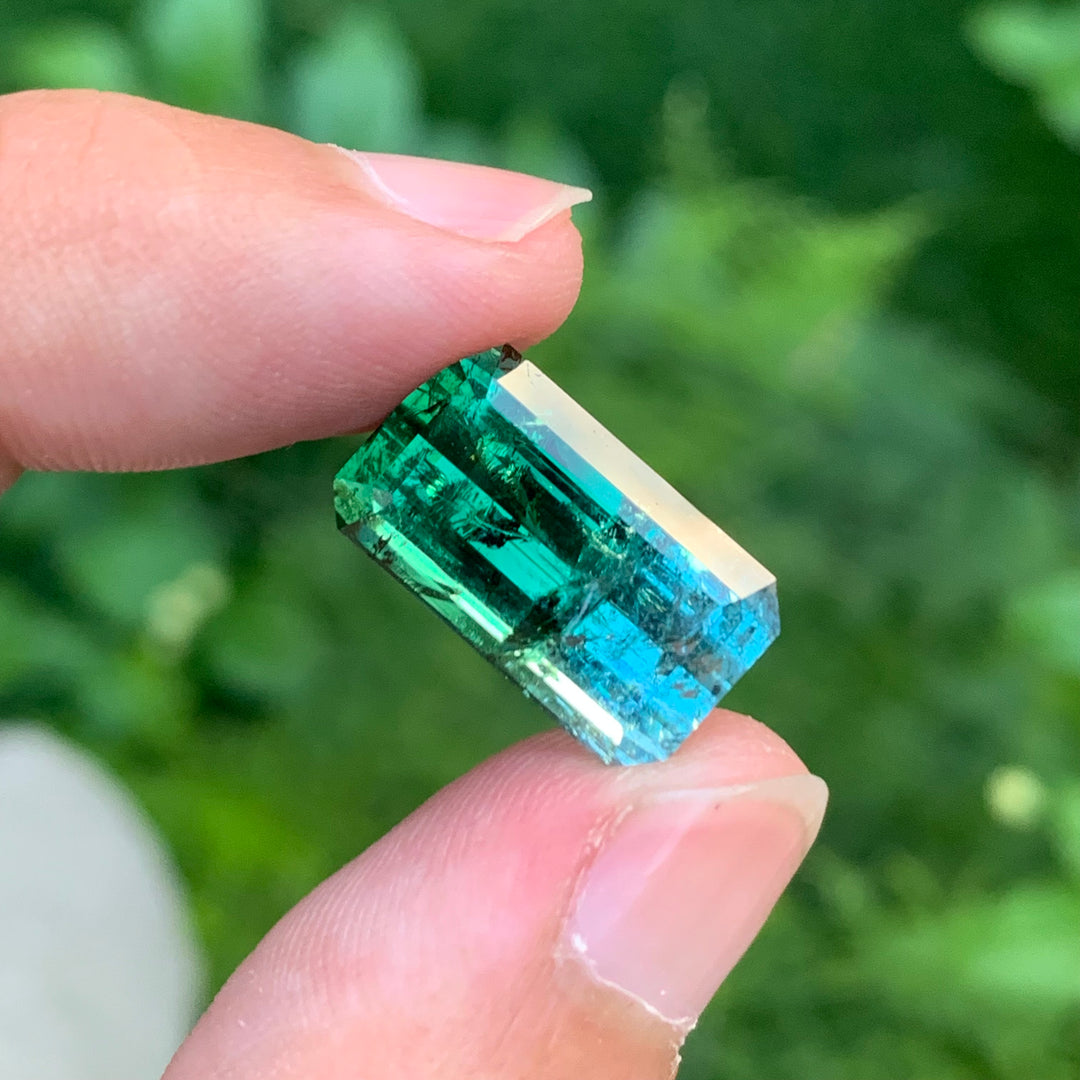 bicolor tourmaline