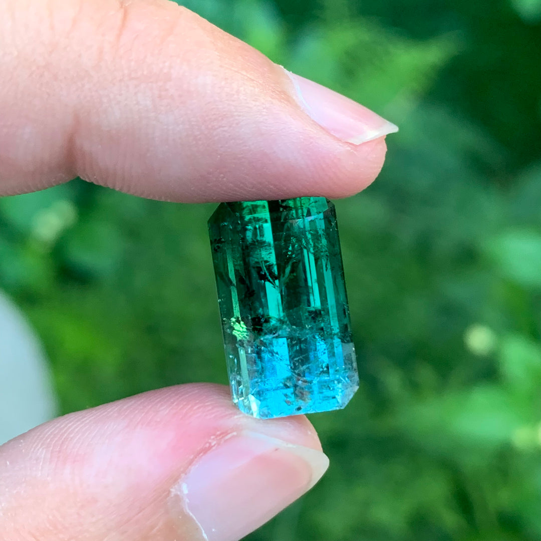 bicolor tourmaline