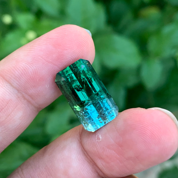 bicolor tourmaline