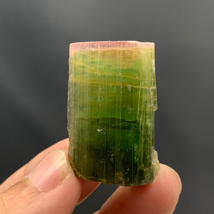 Magnificent Pink Cap Tri Color Tourmaline Crystal From Paprook Mine
