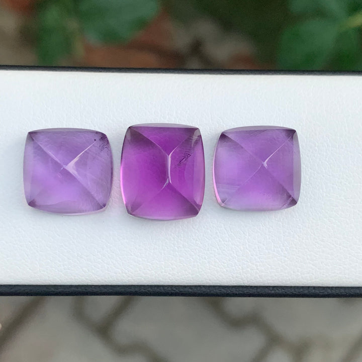 29.70 Carats Sugarloaf Amethyst Pieces