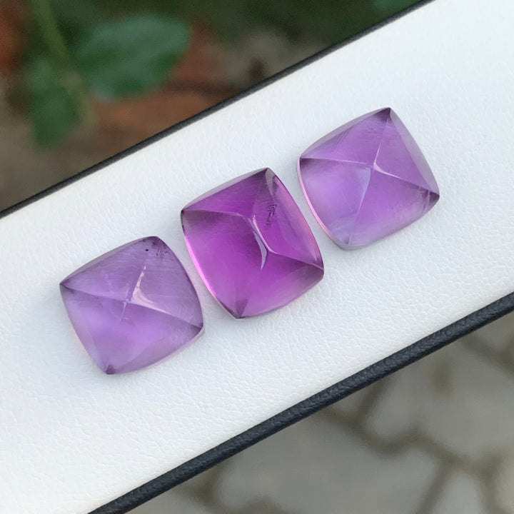 29.70 Carats Sugarloaf Amethyst Pieces