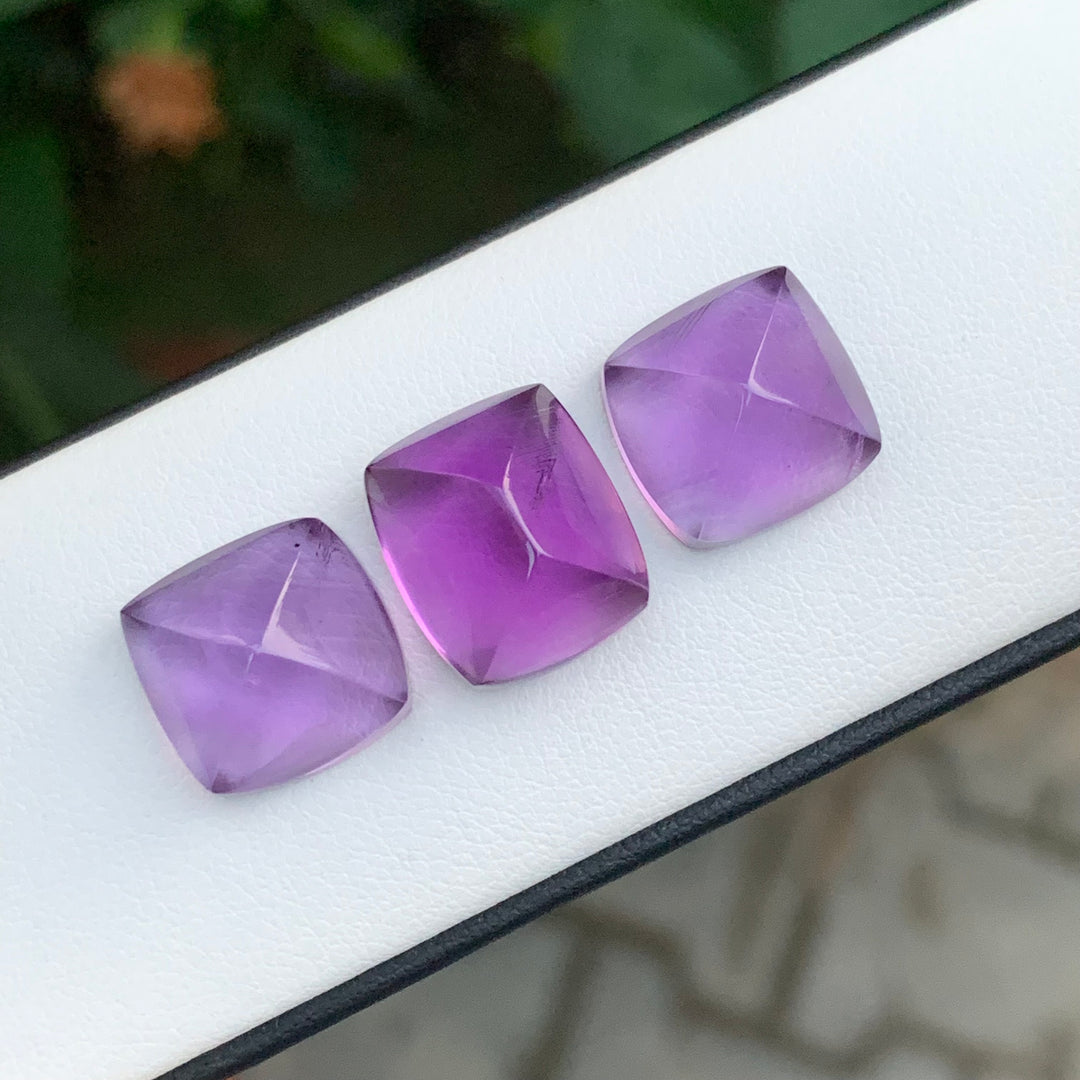 29.70 Carats Sugarloaf Amethyst Pieces