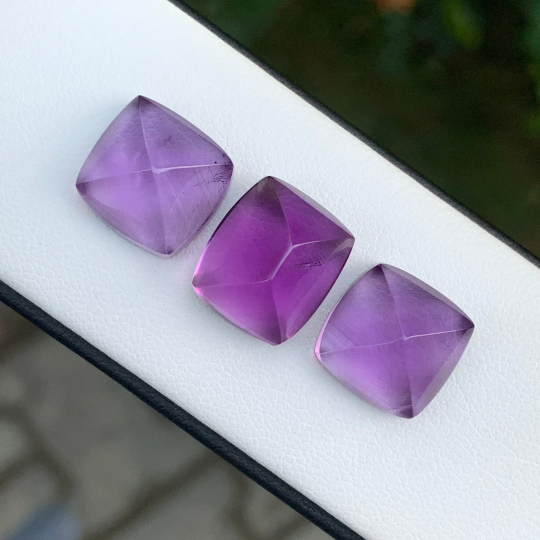 29.70 Carats Sugarloaf Amethyst Pieces