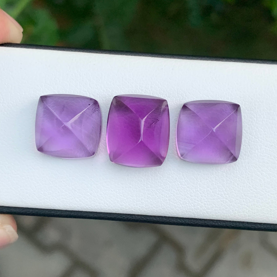 29.70 Carats Sugarloaf Amethyst Pieces