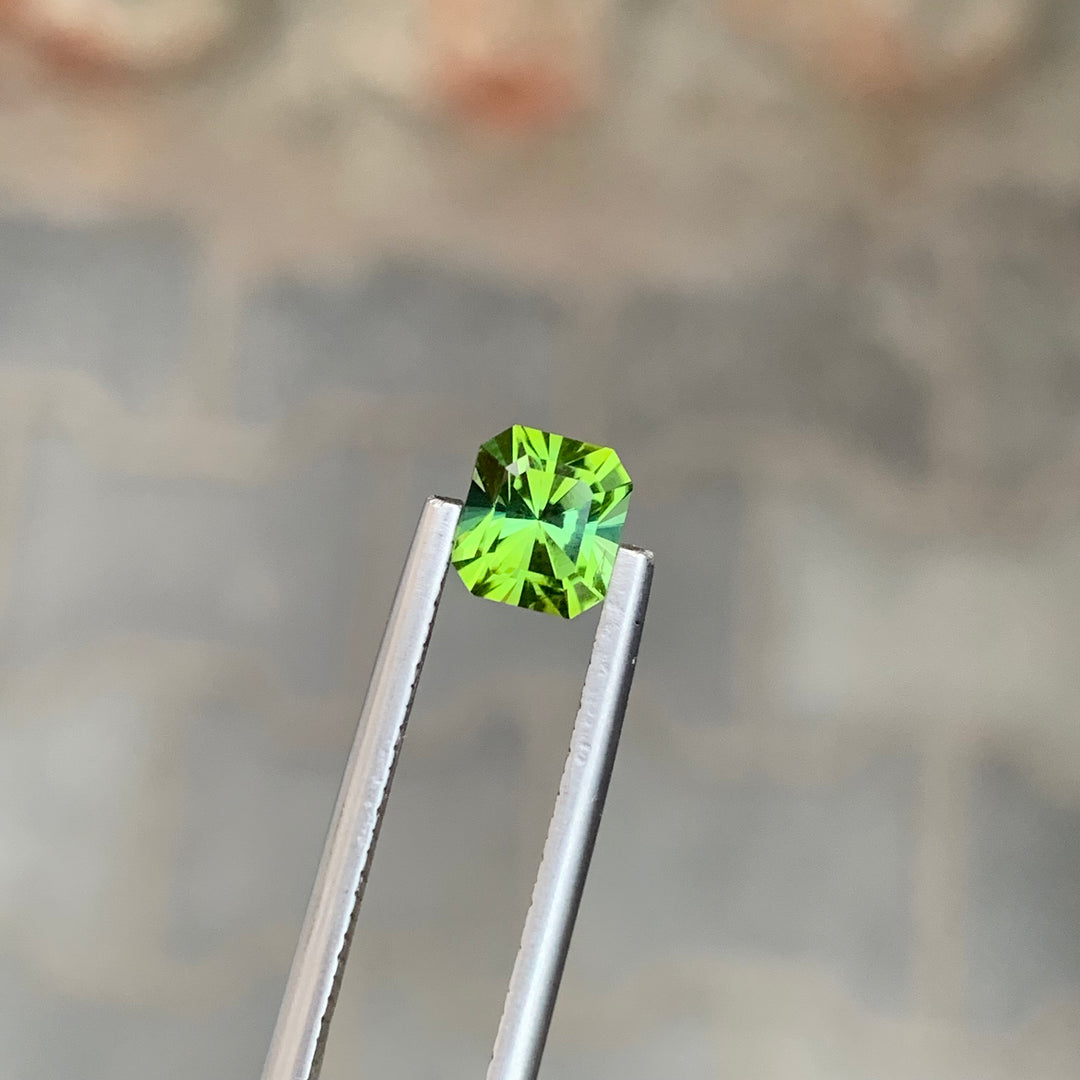 1.10 Carats Faceted Green Tourmaline