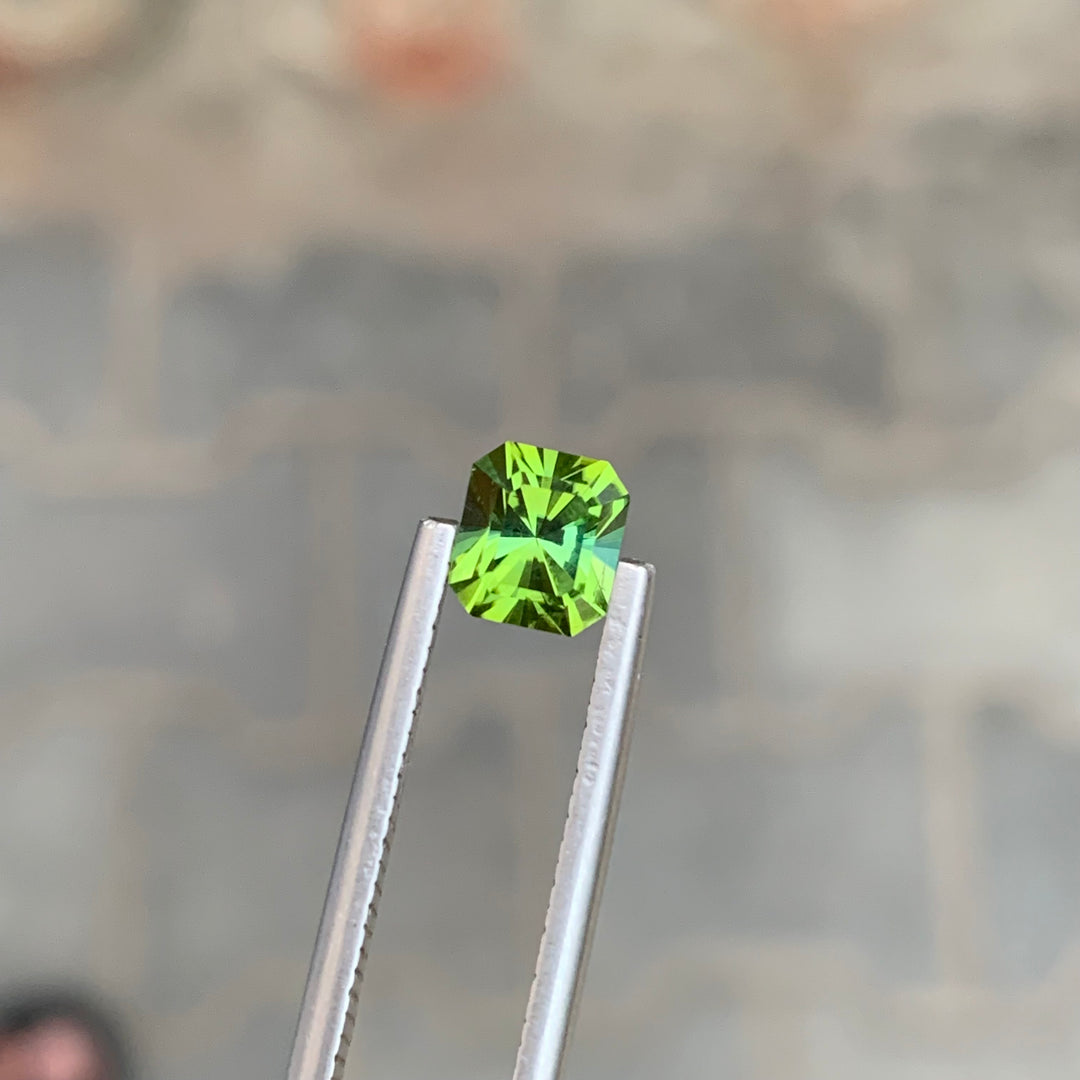 1.05 Carats Faceted Green Tourmaline Gemstone