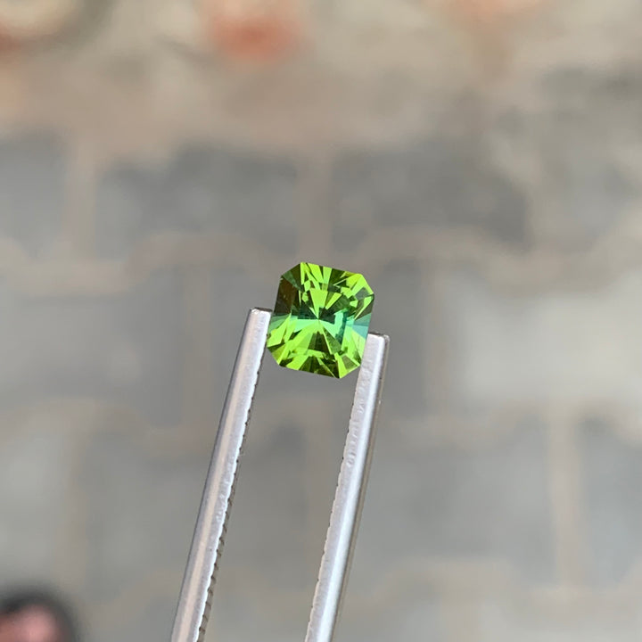 1.10 Carats Faceted Green Tourmaline