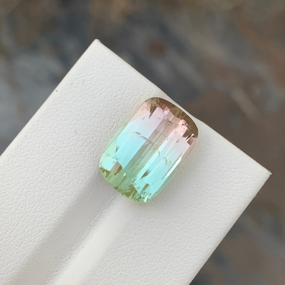 bicolor tourmaline