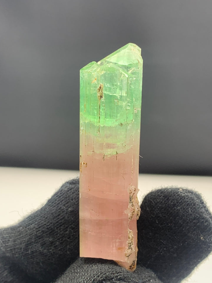 Mesmerizing 22.17 Grams Bi Color Tourmaline Crystal