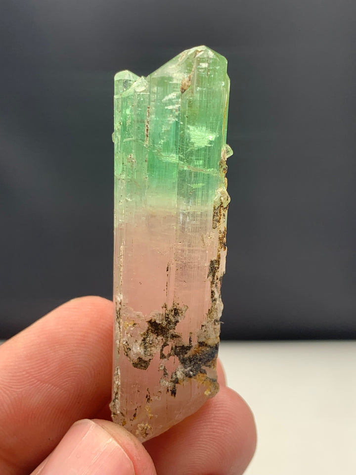 Mesmerizing 22.17 Grams Bi Color Tourmaline Crystal