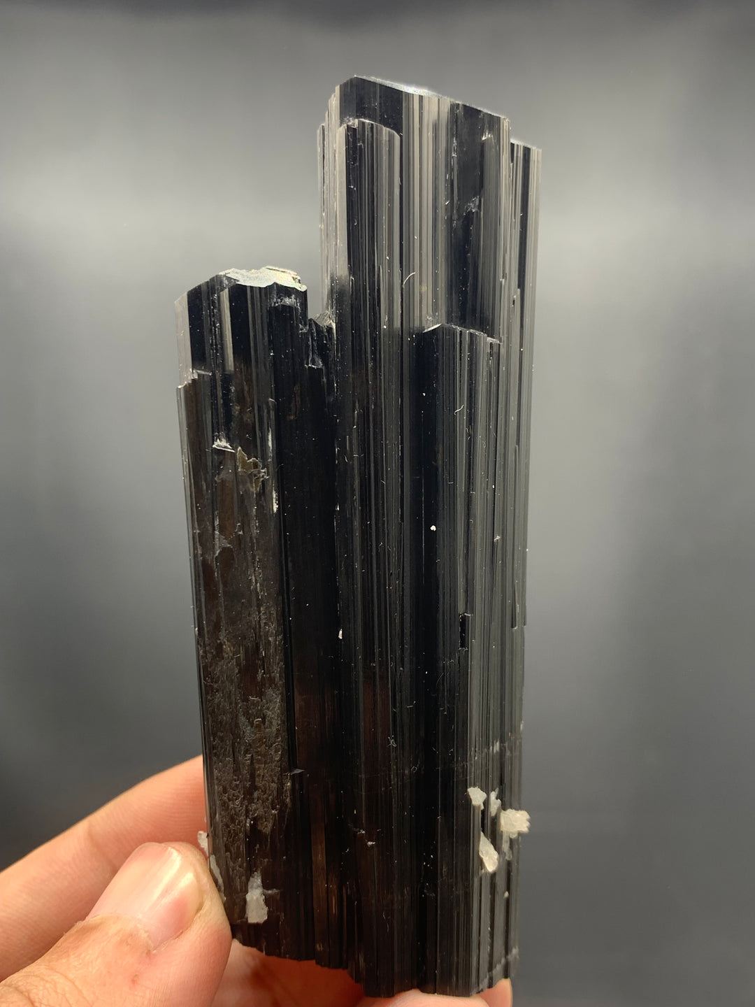 Fascinating 144.31 Grams Black Tourmaline Crystal Bunch