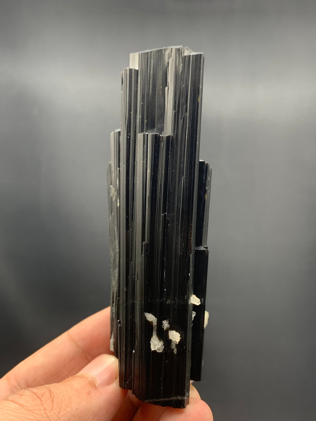 Fascinating 144.31 Grams Black Tourmaline Crystal Bunch