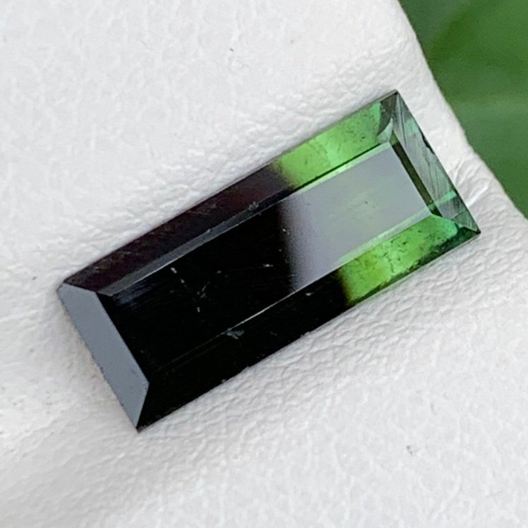 bicolor tourmaline