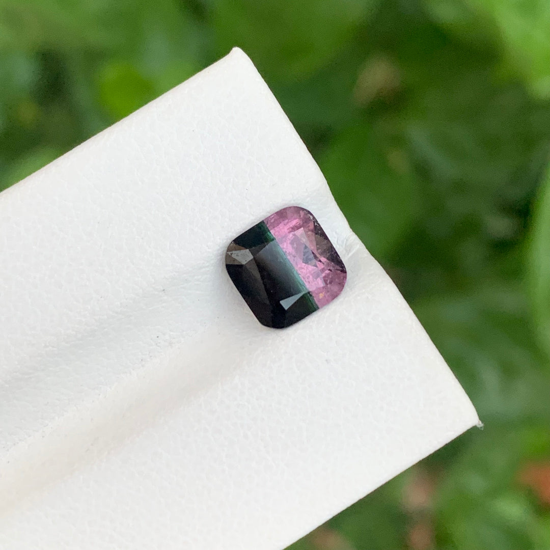 bicolor Tourmaline