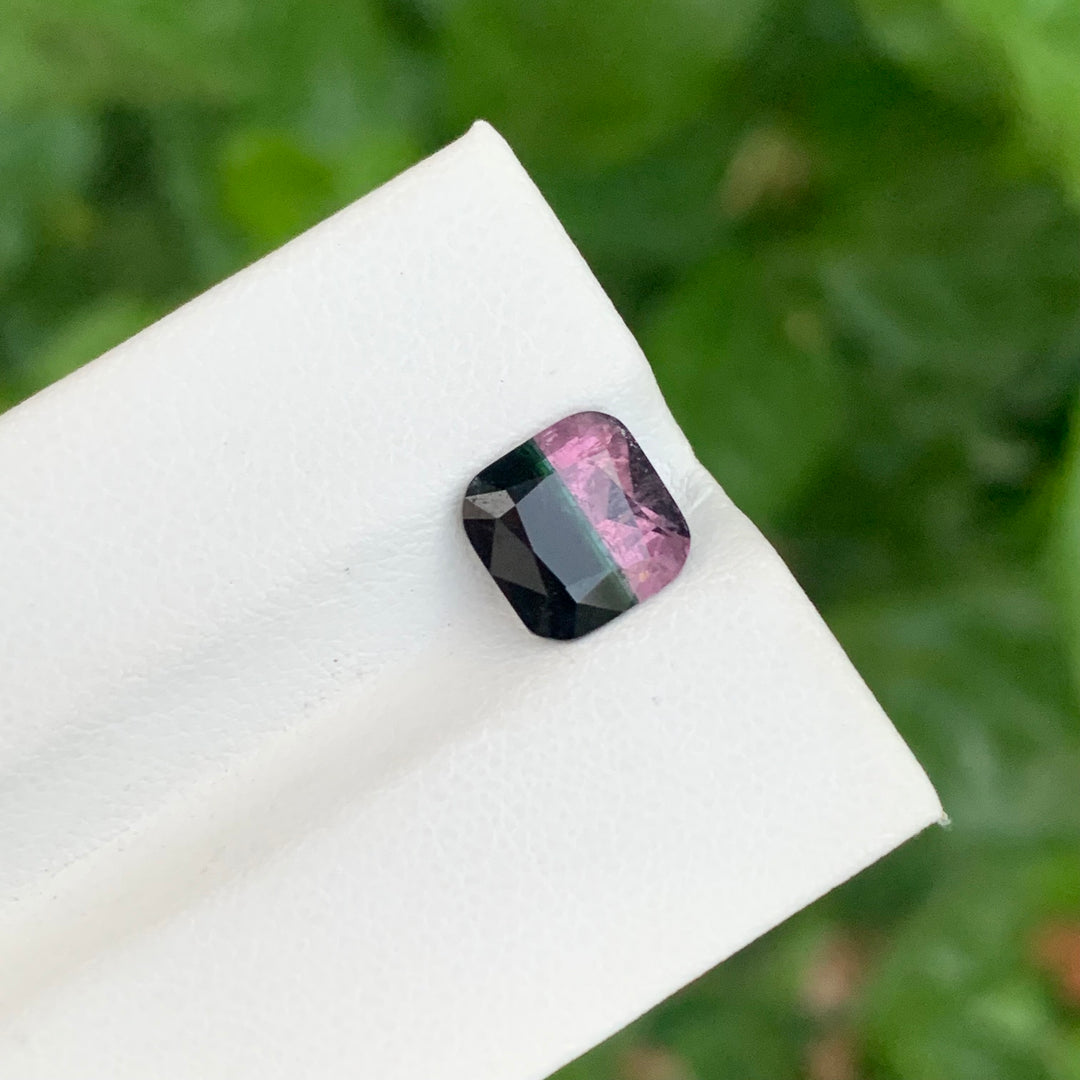 bicolor Tourmaline