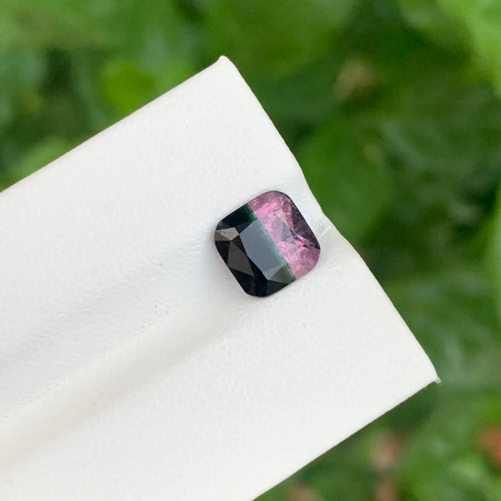 bicolor Tourmaline